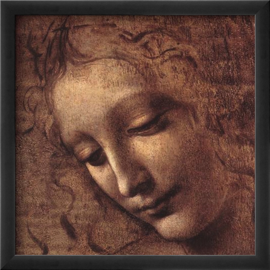 Testa di Faniciulla Detta detail By Leonardo Da Vinci